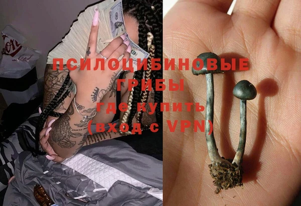 PSILOCYBIN Сосновка