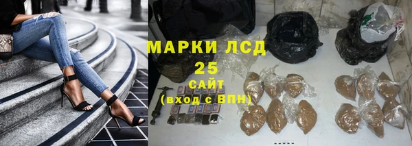 спайс Снежногорск